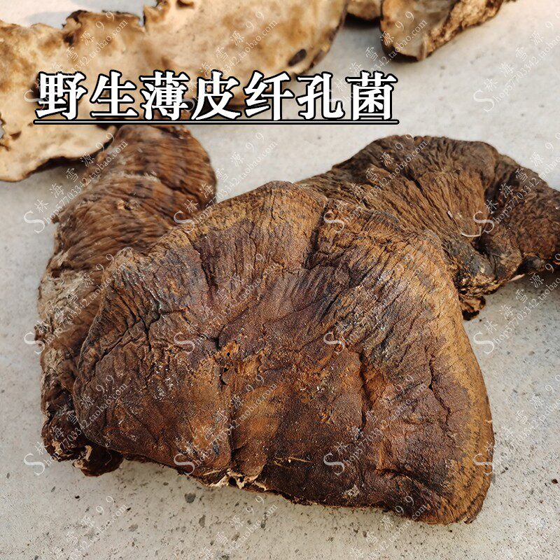 野生薄皮纤孔菌 薄皮毛背菌 希针孔菌  长白山野生真菌 250克