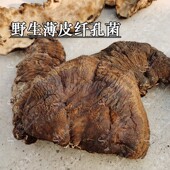 长白山野生真菌 希针孔菌 250克 薄皮毛背菌 野生薄皮纤孔菌