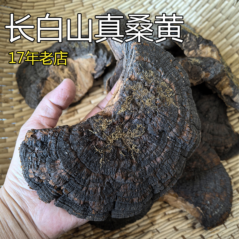 野生桑黄 东北长白山暴马子丁香桑黄 250克