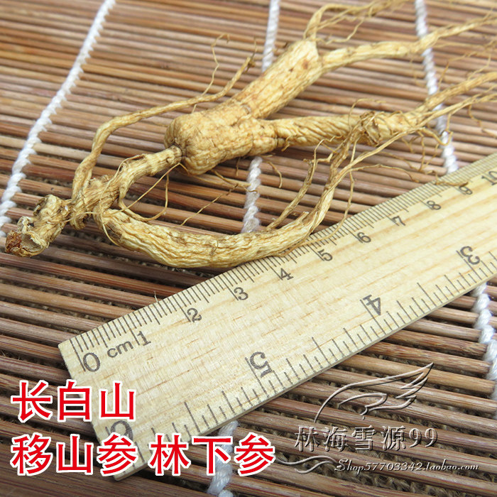 林下参 东北人参 长白山山参  移山参