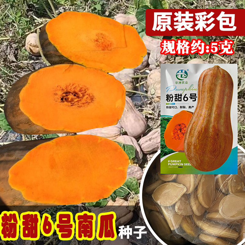 华洲粉甜6号南瓜种子 蜜本甜糯黄肉南瓜种籽 大果菜园农家蔬菜孑,鲜花速递/花卉仿真/绿植园艺,家庭园艺种子,淘宝优惠券,粉丝福利购,淘宝优惠卷