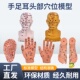 头部功能穴位足部底按摩反射中医耳朵手经络手部小儿推拿针灸模型