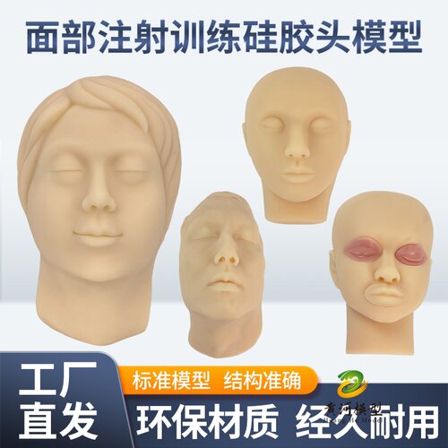 黄和模型硅胶头面部注射教学