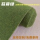 苔藓地毯户外草地阳台花园绿色地垫客厅门口幼儿游乐场大面积全铺