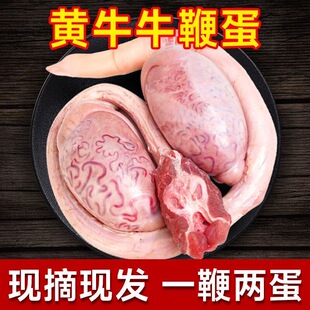 牛鞭宝一套正宗牛蛋三宝大公黄牛鞭整根滋补生鲜牛肉整套黄牛三宝