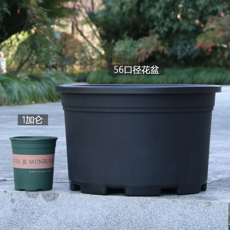 黑加仑特大号塑料种植花盆抗老化