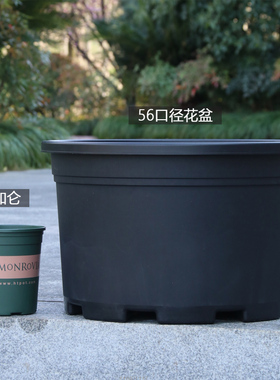 新款加厚黑色矮胖加仑花盆塑料绿萝月季清仓大口径透气小盆栽花盆