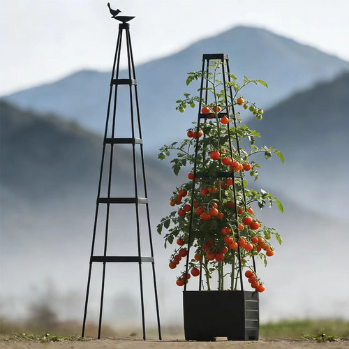 方型园艺花架简易组装爬藤架铁线莲攀爬架植物月季花支架种植篮