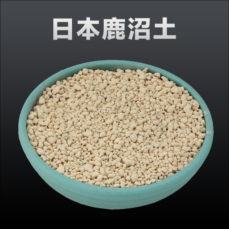 多肉类赤玉土铺面石兰科植物