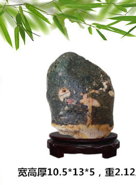发芽.摆件奇石原石画面荷花石观赏艺术装饰石头石材自然客厅卧室