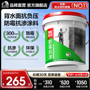 东方雨虹防霉抗渗背水面用特种胶泥防水抗压防渗漏地下室电梯井