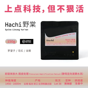 光宗豆号 Hachi云南咖啡豆临沧云顶筑巢庄园 赛琳娜品种 定向发酵