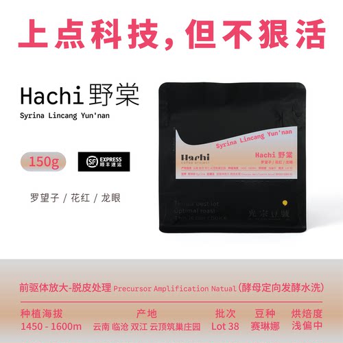 光宗豆号Hachi云南赛琳娜咖啡豆