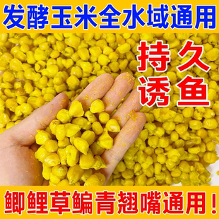 老玉米发酵钓鱼饵料野钓窝料鲫鱼鲤鱼草鱼鳊鱼翘嘴专用玉米饵料