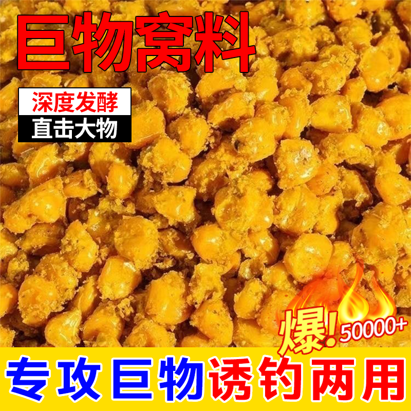 老坛发酵玉米窝料老玉米钓鱼专用玉米饵料草鱼窝料钓饵料,户外/登山/野营/旅行用品,台钓饵,淘宝优惠券,粉丝福利购,淘宝优惠卷