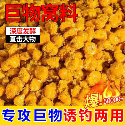 老坛发酵玉米窝料老玉米钓鱼专用玉米饵料草鱼窝料钓饵料