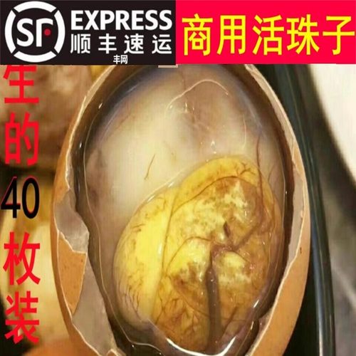 商用！生)13天活珠子40枚鸡胚蛋新鲜食材山东农家烧烤实蛋包邮