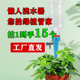 【拍1发15】懒人自动浇花器绿植园艺花草浇水神器家用阳台果苗浇