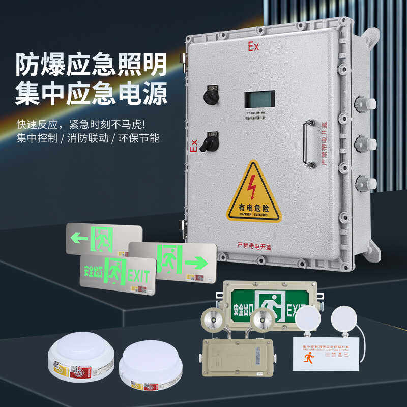 防爆应急照明集中电源箱DC24V36V消防分配电箱智能应急疏散灯具