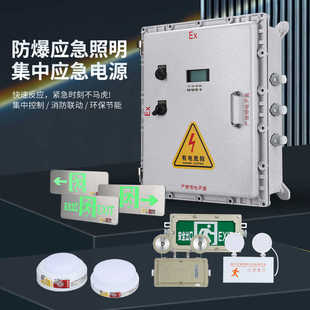 防爆应急照明集中电源箱DC24V36V消防分配电箱智能应急疏散灯具