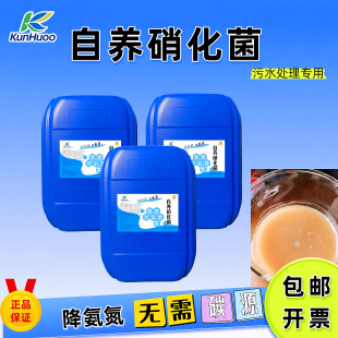 活性菌种自养硝化菌自养反硝化菌专治低COD高氨氮污泥菌种
