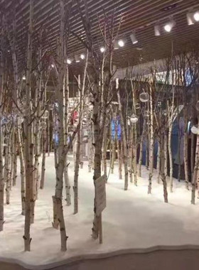 天然白桦树枝树杈田园橱窗玄关隔断背景墙装饰树枯树干造景树摆放