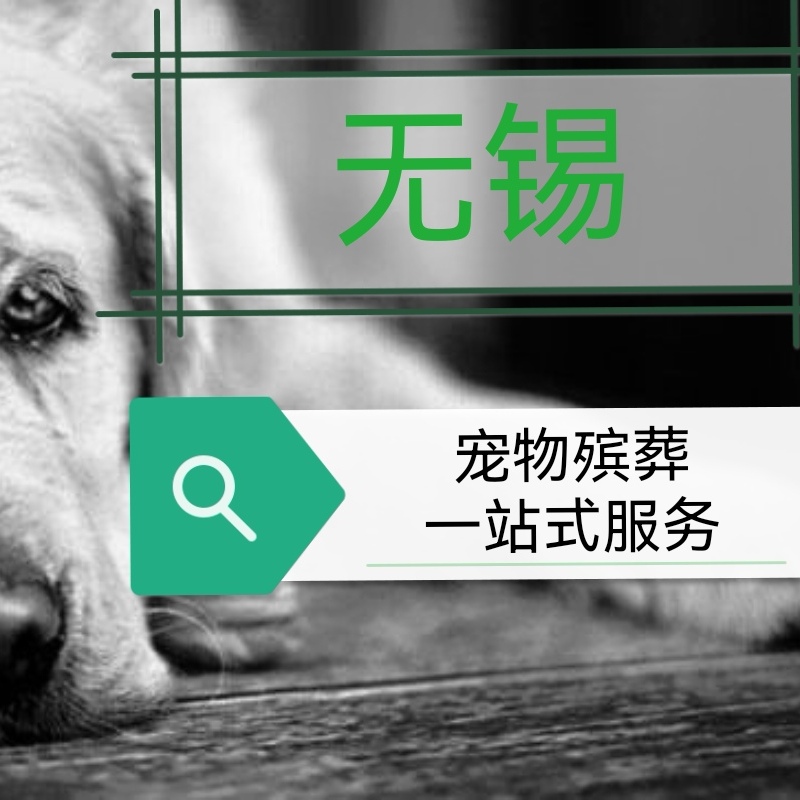 无锡回到旺星宠物狗猫仓鼠蜜袋鼯鸟殡葬遗体火化安葬善终储存纪念