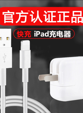 iPad数据线Air正品mini充电线pro快充1老款2正版3适用苹果4平板5专用6电脑7代官方iPhone手机8闪冲充电器插头
