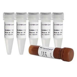 荧光定量PCR试剂盒 BL698A SYBR Green Mix 白鲨 qPCR Biosharp
