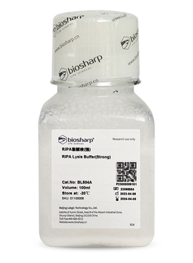 白鲨 Biosharp BL504A RIPA裂解液(强) 100ml RIPA Lysis Buffer