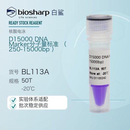 白鲨Biosharp BL113A D15000 DNA Marker 分子量标准
