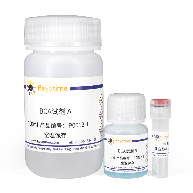 碧云天beyotime P0012S P0012 P0011 BCA蛋白浓度测定试剂盒