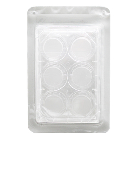 甄选LABSELECT 14151 细胞培养小室 含6孔板(PC膜24mm孔径1.0μm)