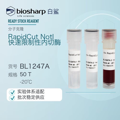 白鲨 Biosharp BL1247A RapidCut NotI 快速限制性内切酶 50T