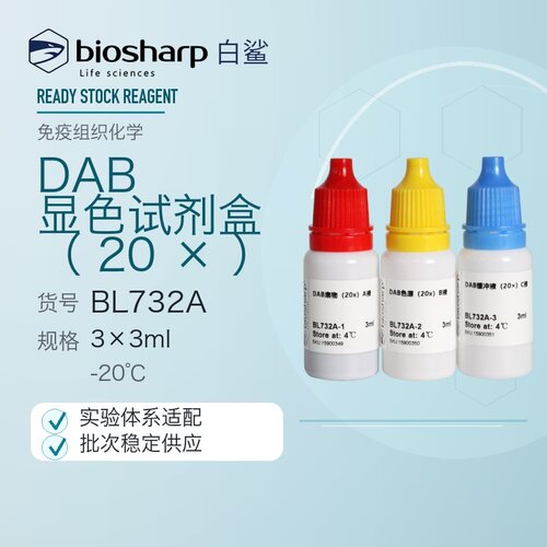 白鲨Biosharp BL732A DAB显色试剂盒(20×) 3×3ml