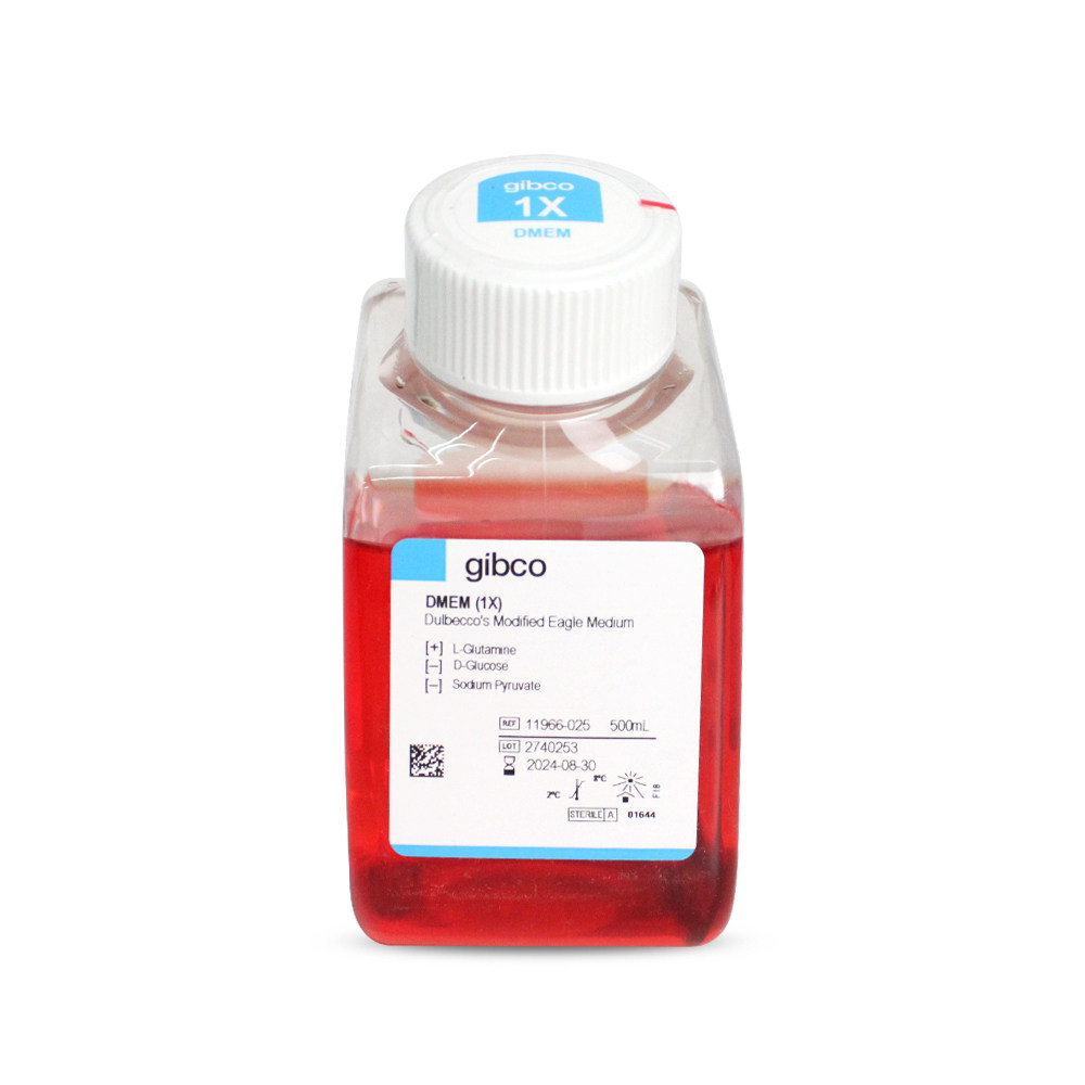 Gibco 11966-025 DMEM无糖培养基 含L-谷氨酰胺不含丙酮酸钠HEPES