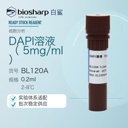 白鲨 Biosharp BL120A DAPI溶液（5mg/ml）0.2ml
