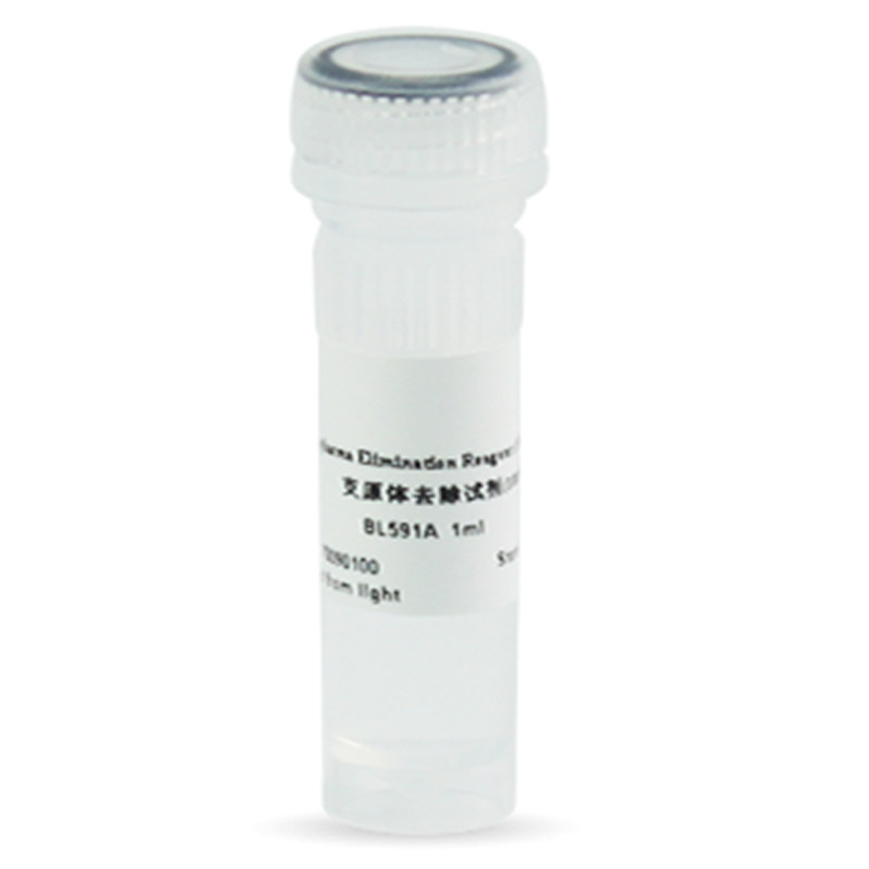 白鲨Biosharp BL591A BL591B 支原体去除试剂(1000×)4℃避光保存