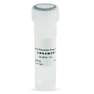 1000× 白鲨Biosharp 支原体去除试剂 BL591B 4℃避光保存 BL591A