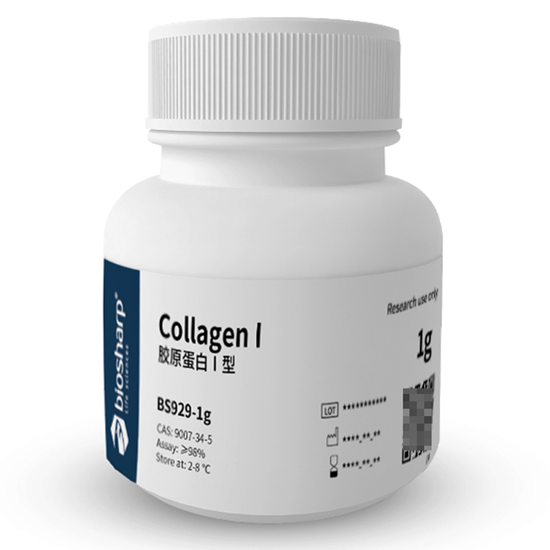 白鲨 biosharp BS929-1g 胶原蛋白I型/Collagen I 1g 2-8℃