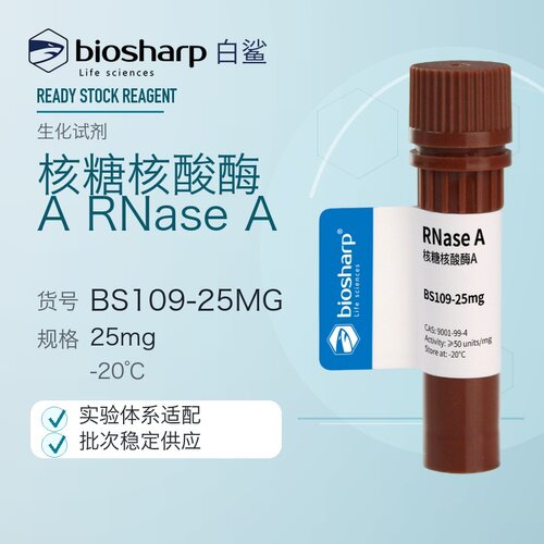 白鲨Biosharp核糖核酸酶A