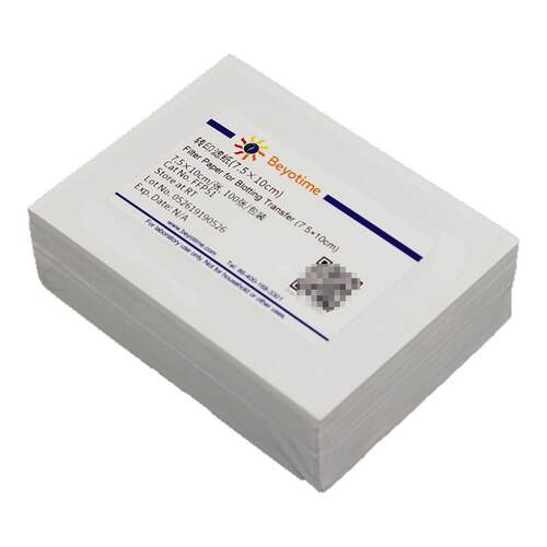 碧云天Beyotime FFP51 转印滤纸(7.5×10cm) 棉纤维素 适用于湿转