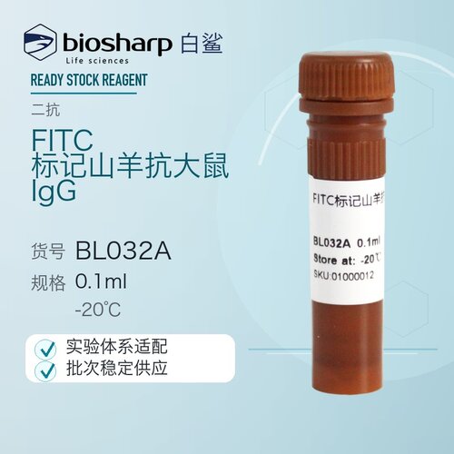 白鲨Biosharp BL032A FITC标记山羊抗大鼠IgG