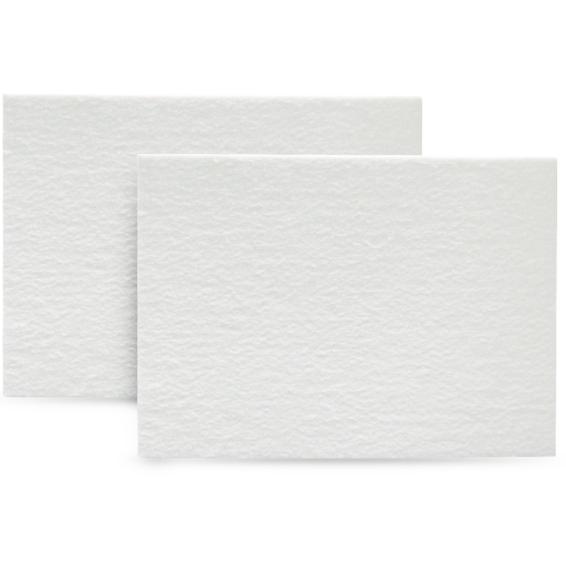 Biosharp BS-TPB-01B 转印滤纸（7.5×10cm）伯乐款 1mm 100张/盒