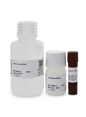 Biosharp/白鲨 BL1379A DNase Ⅰ 溶液(RNase free) 2000U