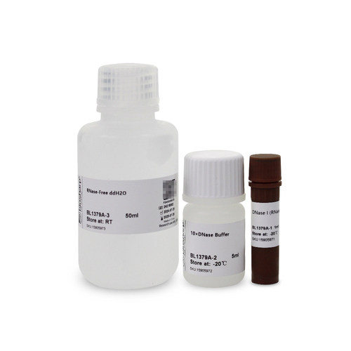 Biosharp/白鲨 BL1379A DNase Ⅰ 溶液(RNase free) 2000U