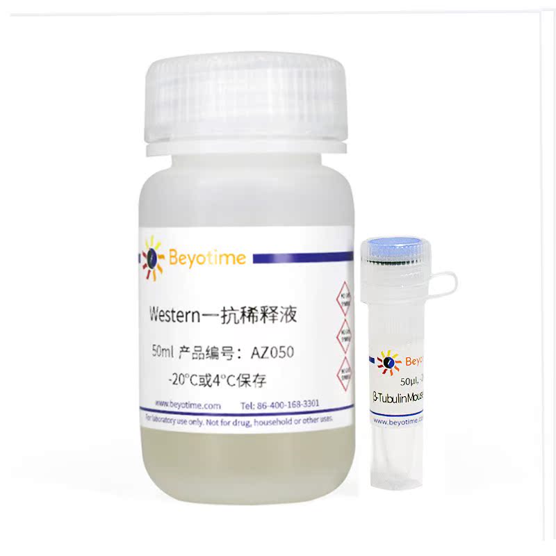 碧云天AF2835小鼠单克隆抗体