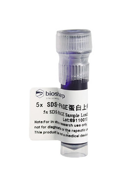 白鲨biosharp BL511A BL511B 5xSDS-PAGE蛋白上样缓冲液 非还原性