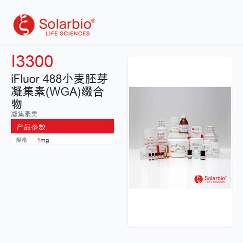 Solarbio 索莱宝 iFluor 488小麦胚芽凝集素缀合物 I3300-1mg