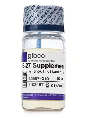 Gibco12587-010 B-27无血清添加剂 (去除维生素A 50X)  10ml